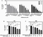 Deactivation of CK1α enhances the anti-cancer effects of salinomycin in colorectal cancer HCT116 cells